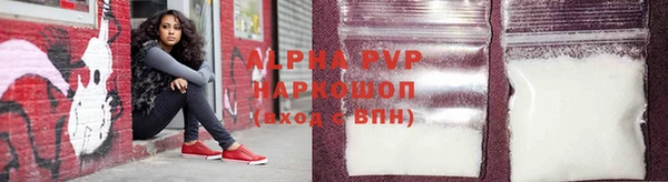 бошки Пересвет