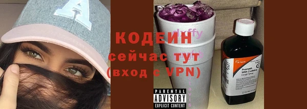 бошки Пересвет