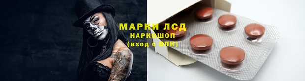 бошки Пересвет