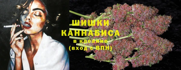 бошки Пересвет