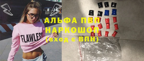 бошки Пересвет