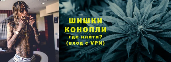 бошки Пересвет