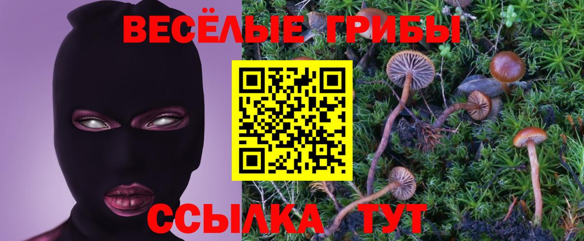 Галлюциногенные грибы Magic Shrooms  Вход с VPN  Семилуки  Псилоцибиновые грибы MAGIC MUSHROOMS 